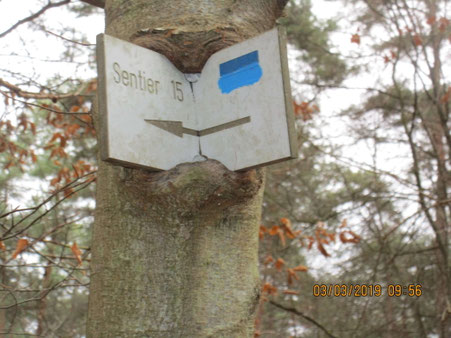 Pour ne pas se perdre, suivez la flèche