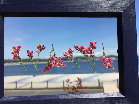 押し花フレームと海と空