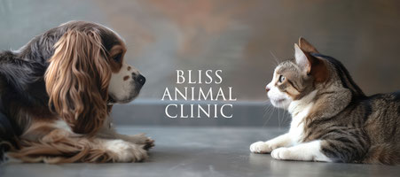 ブリス動物病院