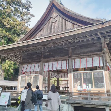 滋賀県　京都　三重県　大阪　全国　あすわ　銀河のマヤ　マヤ個人セッション　カウンセリング　ツォルキン　スピリチュアル　精神世界　秋山広宣　マヤ暦　占い
