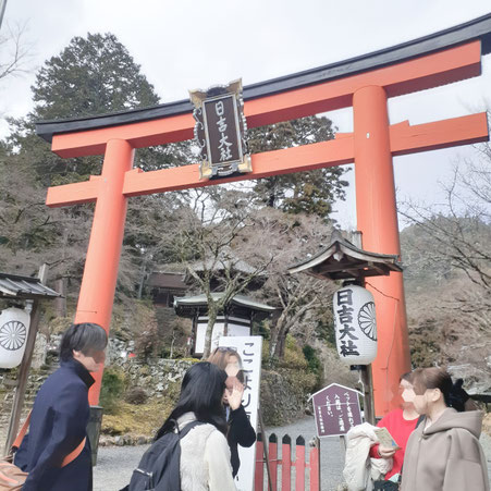 滋賀県　京都　三重県　大阪　全国　あすわ　銀河のマヤ　マヤ個人セッション　カウンセリング　ツォルキン　スピリチュアル　精神世界　秋山広宣　マヤ暦　占い