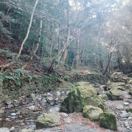 滋賀県　京都　三重県　大阪　全国　あすわ　銀河のマヤ　マヤ個人セッション　カウンセリング　ツォルキン　スピリチュアル　精神世界　秋山広宣　マヤ暦　占い