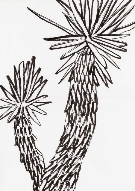広島のイラストレーターが描く植物のイラスト