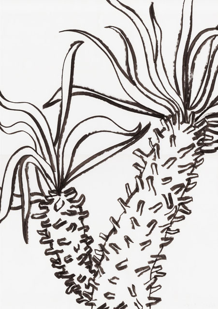 広島のイラストレーターが描く植物のイラスト