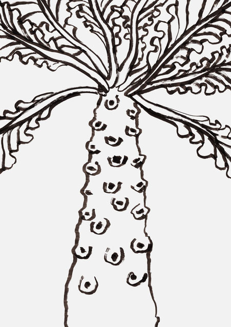 広島のイラストレーターが描く植物のイラスト
