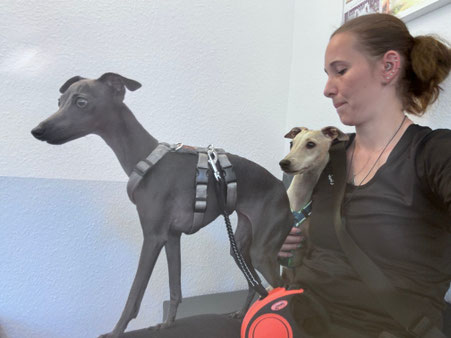Mit Filly & Mupf im Wartezimmer - ©️Claudi Scheiblich