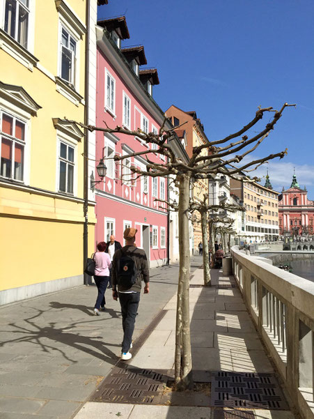 Promenade entlang des Flusses / esplanade alongside the river