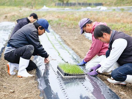 高齢者や障がい者と一緒に、野菜、果物、薬草などを栽培している様子　1