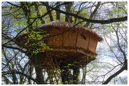 Cabane dans les arbres à 14 m : accès passerelle puis échelle à crinoline d'une douzaine de barreaux.