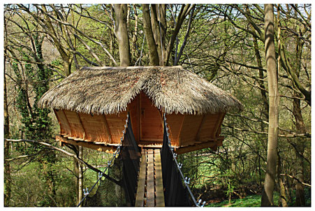 Normandie, La Chaussée, cabane dans les arbres à 8 m Les Faines : accès passerelle de 15 m, sécurisée par des filets.