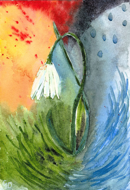 Schneeglöckchen 2, 13x19cm, 100€