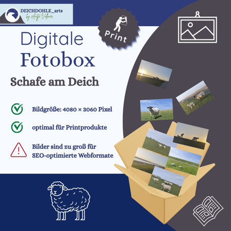 Hinweis, dass Verkauf des digitalen Produktes Nordsee-Fotobox über Digistore 24 erfolgt
