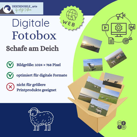 Verkauf Fotobox Schafe am Deich erfolgt über Digistore 24 