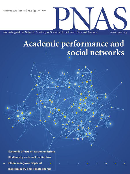 Die Visualisierung auf dem Cover vom PNAS © Michael Stünzi