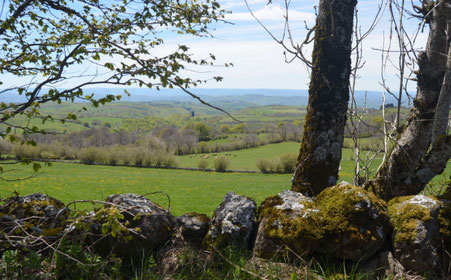 Le décor est splendide, nature au repos dans un silence presque religieux