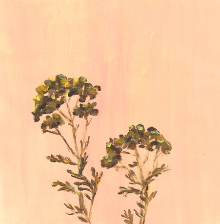 Acrylbild Blume Staude Goldgarbe gelb braun