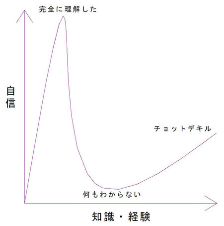 『完全に理解した』曲線