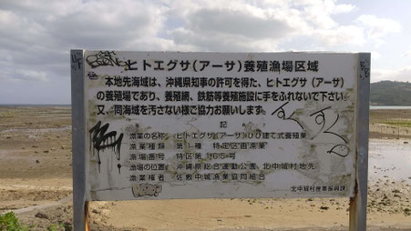 養殖漁場区域