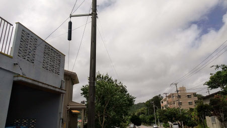 電線も枝に引っかかってる１