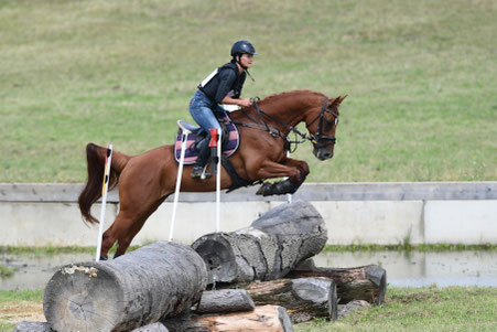 Kahoku von Kantsch a.d. Rosalie del Clintino bei seinem ersten CCI 1*