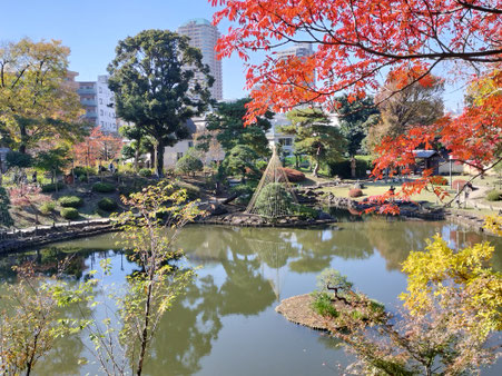 Higo Hosokawa Garden (Waseda)
