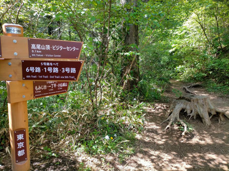Signs are clear and also in English