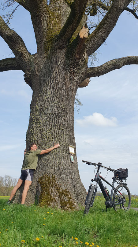 Ich, beim Umarmen dieses 300-jährigen, weisen Baumes.