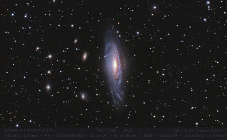 NGC 7331, im Pegasus - geflügeltes Pferd