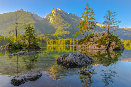 Hintersee#Zauberwald#Berchdesgadener Land #Roland Valter#rolva#Natur-Fotografie#Aachen 