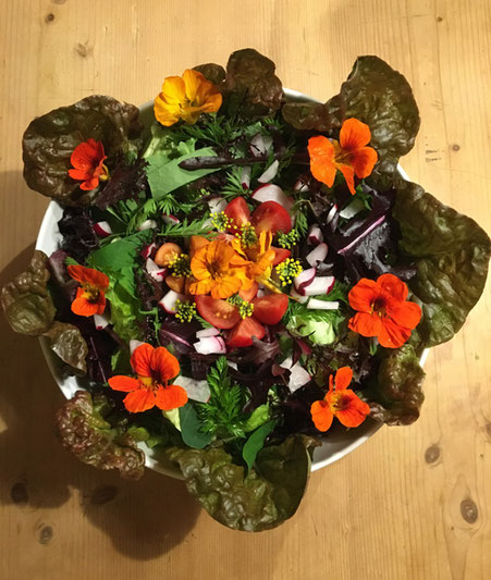 Atelier Café Atelier-Café Restaurant Essen Kulinarik Gourmet Salate Salatkreationen Vielfaltsalate Maler Kunstmaler Künstler Daniel Gisler Krinau Wattwil Lichtensteig Toggenburg Ostschweiz St. Gallen