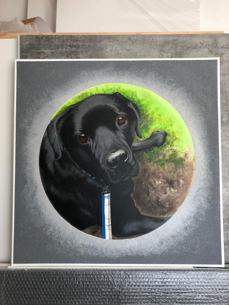 Auftragsarbeit, Portrait eines schwarzen Hundes