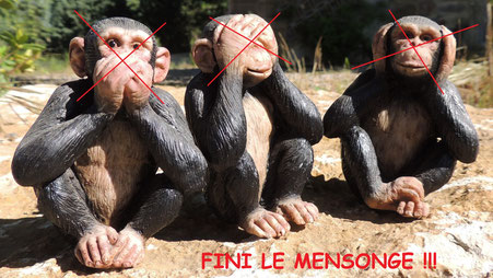 En 4e densité, FINI LE MENSONGE