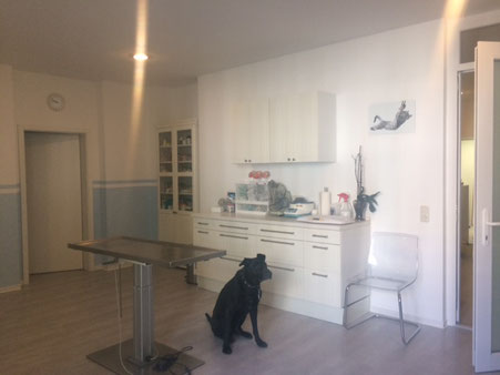 Behandlungsraum 1