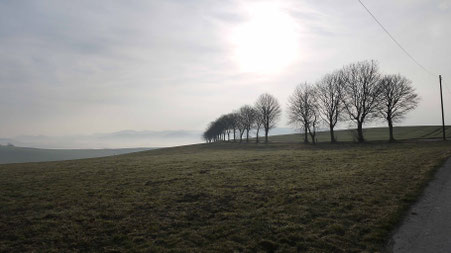 Mein Foto vor der Bildbearbeitung
