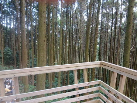 森閑とした空気を楽しみながらゆっくりお茶が出来ます