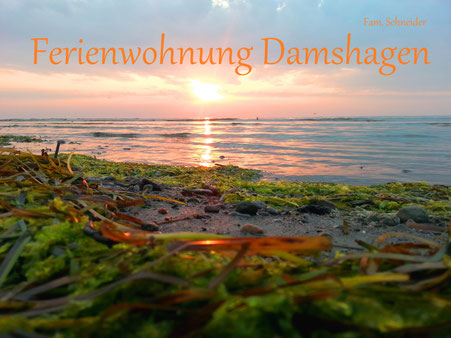 fewo-damshagen-schneiders Webseite!