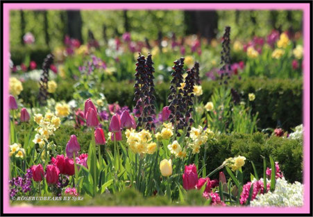 Hannover Herrenhausen Großer Garten Fürstl. Blumengarten