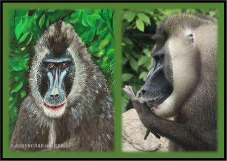 Zoo Hannover