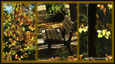 Herbstwald