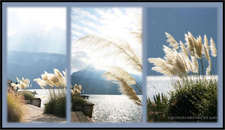 Sonne pur - erträglich nur mit Wasser und Wind - und im Urlaub