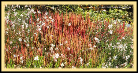 Bunte Gartengestaltung in den Herrenhäuser Gärten
