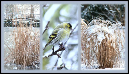 Stadtpark Hannover Schnee