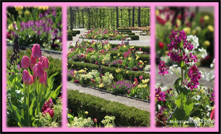 Hannover Herrenhausen Großer Garten Fürstl. Blumengarten