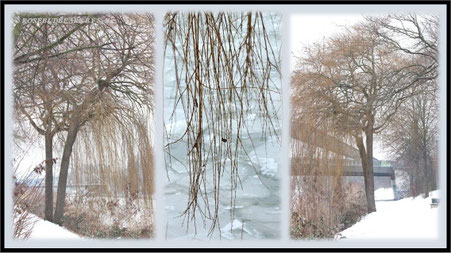 Hannover Mittellandkanal Schnee Eis