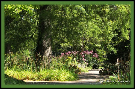 Stadtpark Hannover