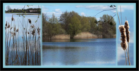 Wietzepark Hufeisensee Hannover-Isernhagen