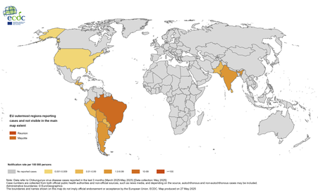 Chikungunya-Virus breitet sich aus 