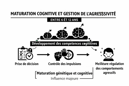 Maturation cognitive et gestion de l'agressivité