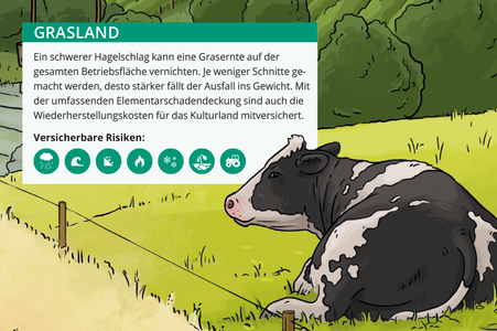 Grasland mit Kuh © Michael Stünzi