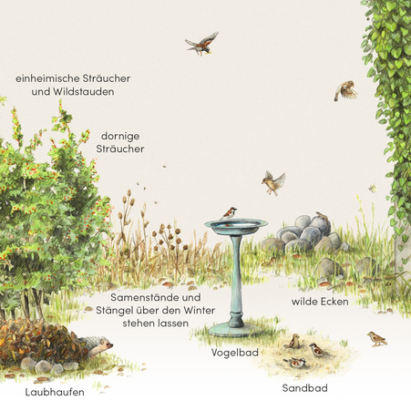 Biodiversität als Fördermassnahme vom Sperling und anderen Tieren © Michael Stünzi